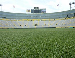 Stadium Tours